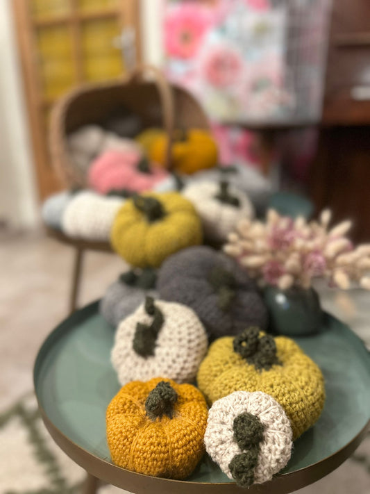 Trio d'automne - lot de 3 citrouilles