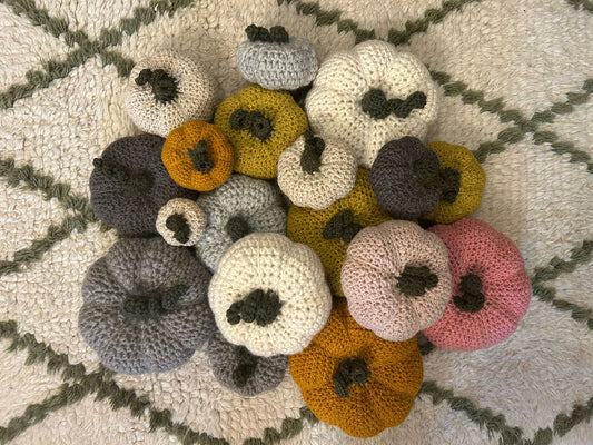 Trio d'automne - lot de 3 citrouilles